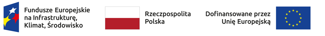 Dofinansowane przez Unię Europejską