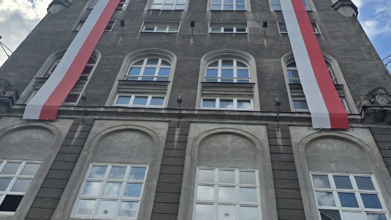 pic 5
